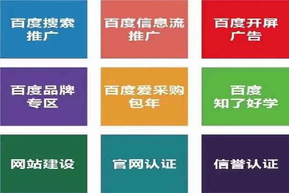 某行业领先企业背后的百度推广代理商策略